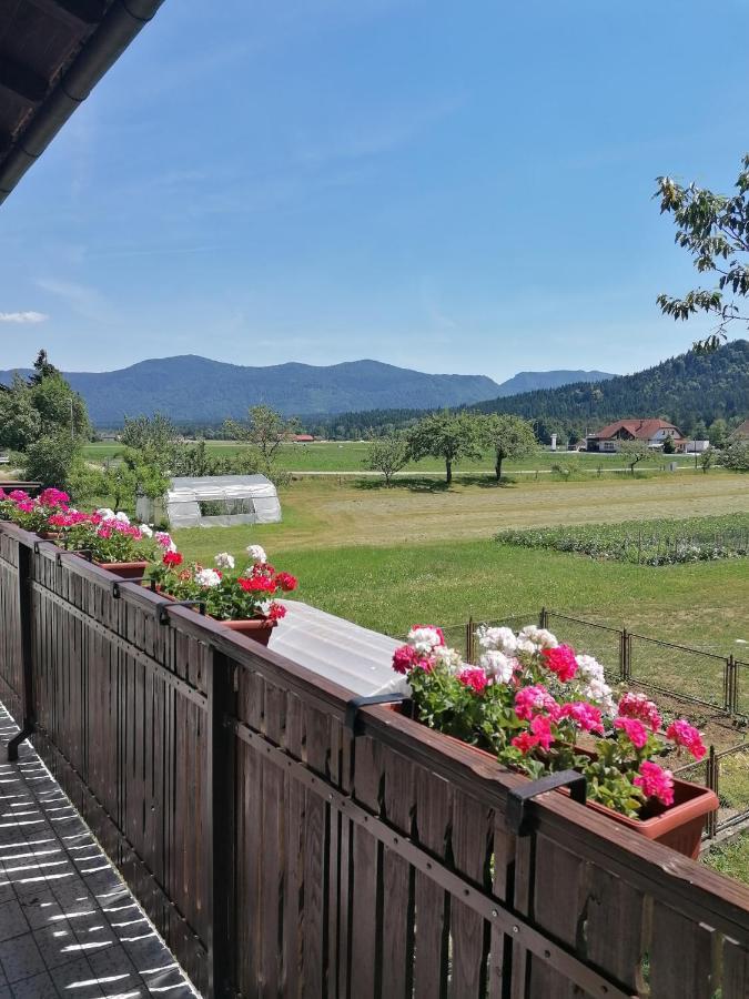 Apartments Novak Ljubno Eksteriør billede
