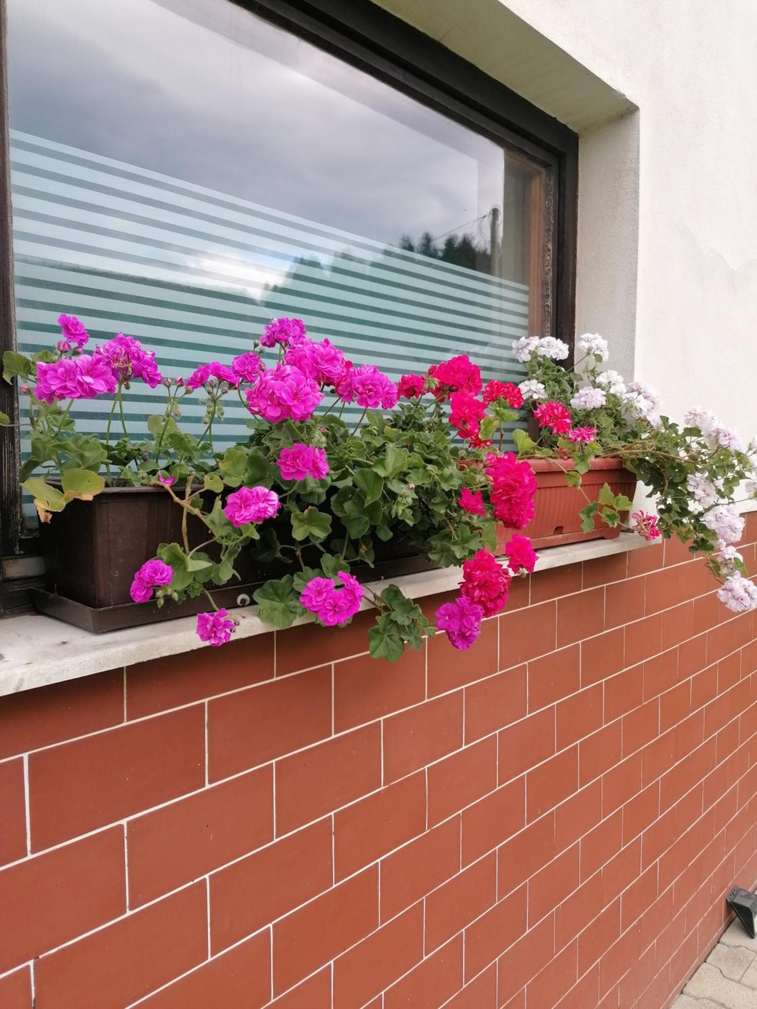 Apartments Novak Ljubno Eksteriør billede